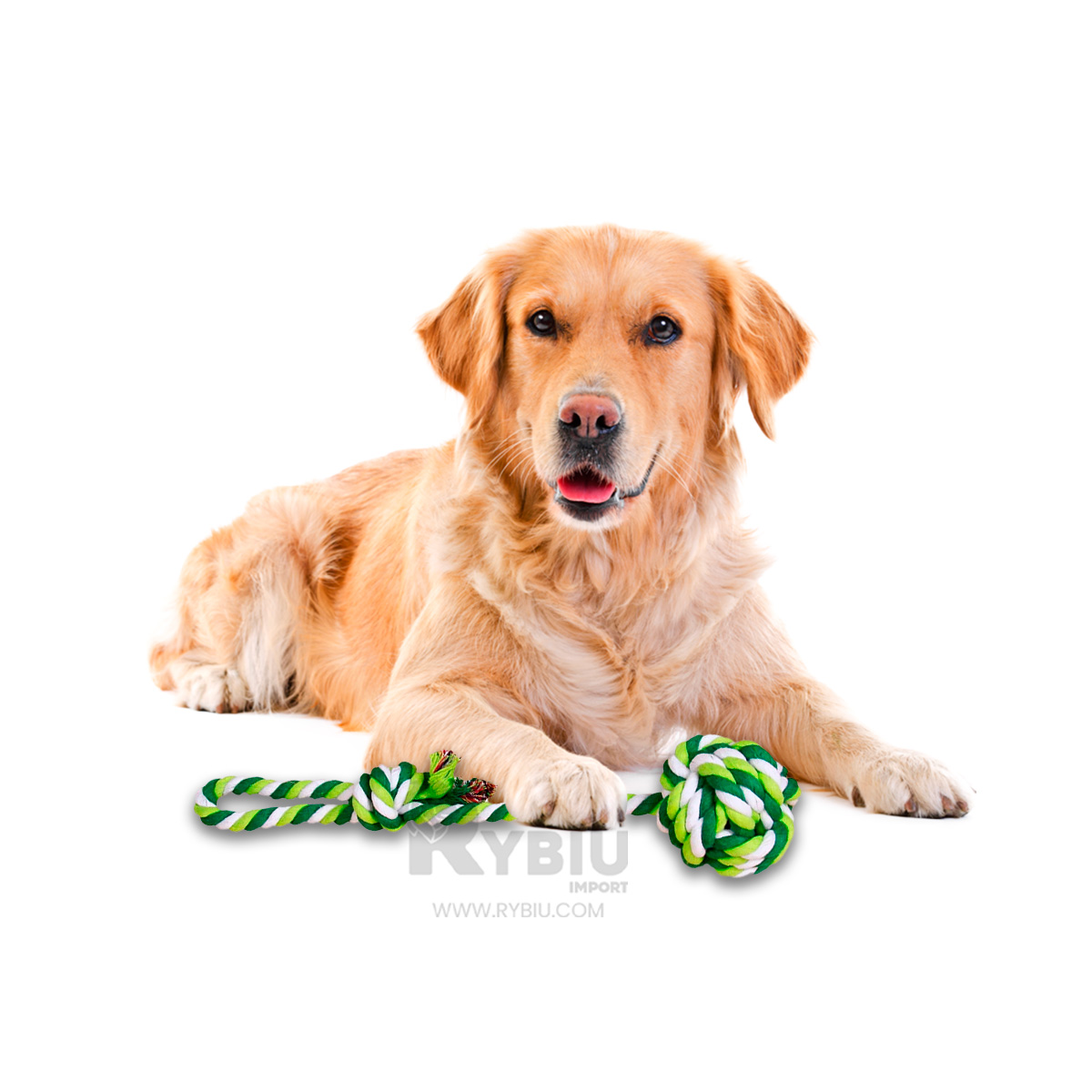 JUGUETE ALGODÓN PERROS RYBIU SOGA RESISTENTE VERDE + PAPEL REGALO - 3