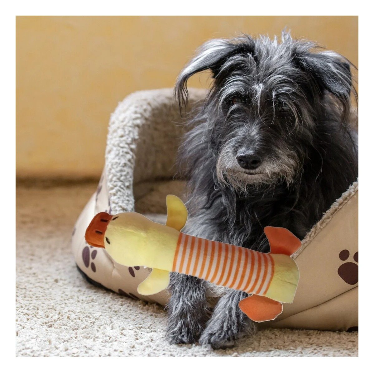 MUÑECO PERROS MA29951 CON FORMA PATO MARRON + LIGAS REGALO RYBIU - 1