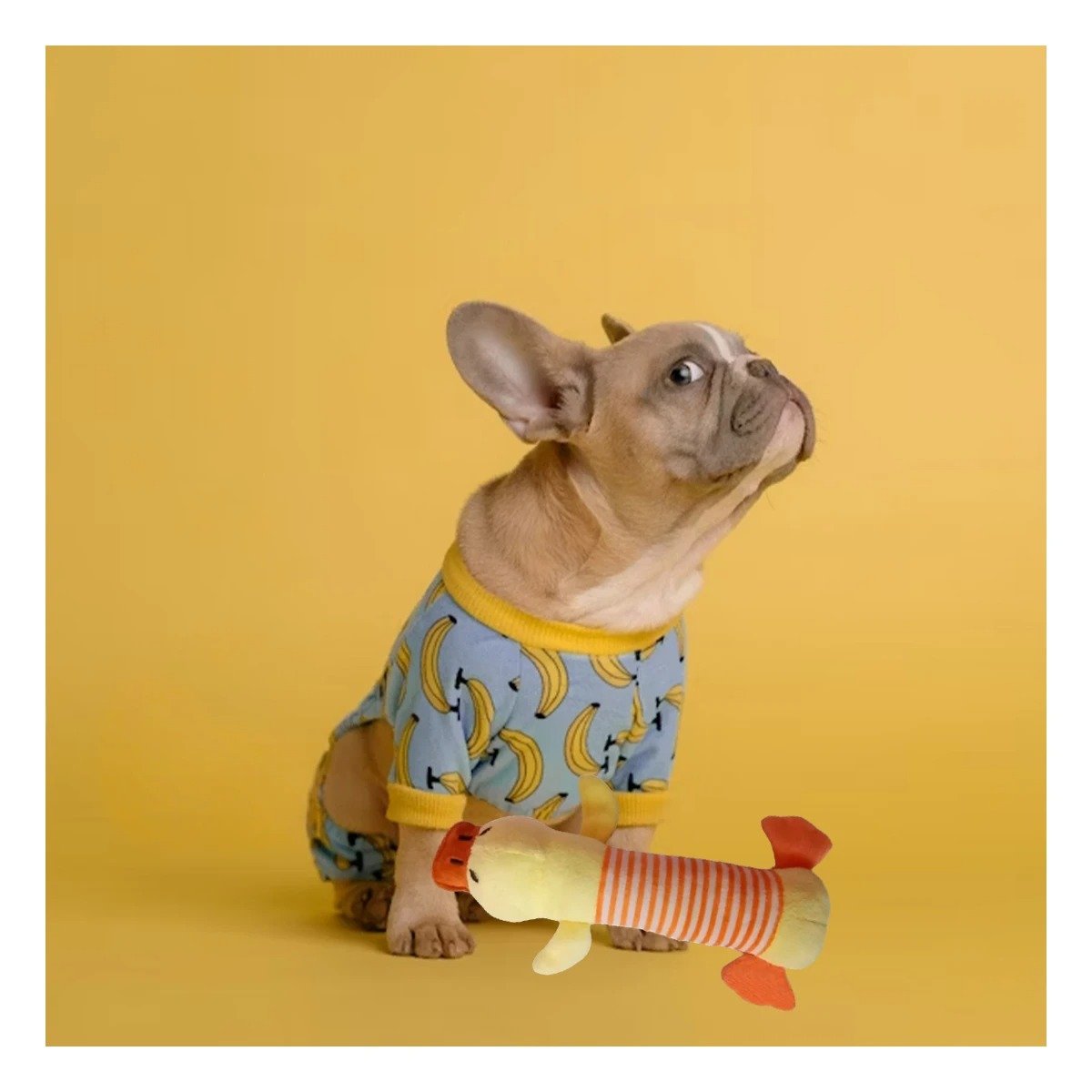 MUÑECO PERROS MA29951 FIGURA PATO Y PICO MARRON + POST IT ADHESIVOS RYBIU - 3