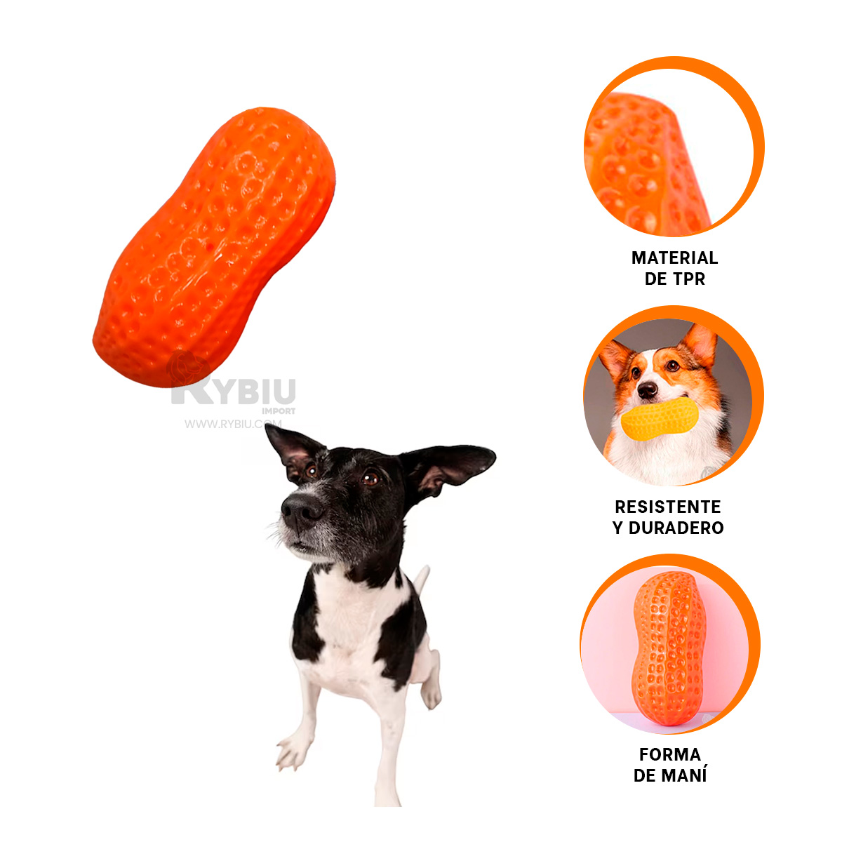 MASTICADOR PERROS RYBIU DENTAL EN NARANJA + REGALO STICKERS - 4