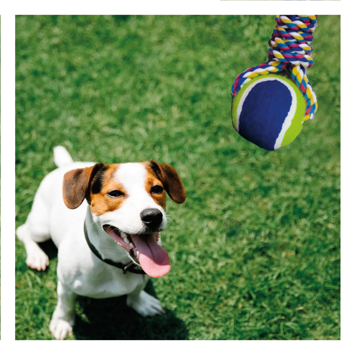 PELOTILLA ALGODÓN PERROS RYBIU CON CUERDA ANTIESTRES EN AZUL + POST-IT ADHESIVOS - 3