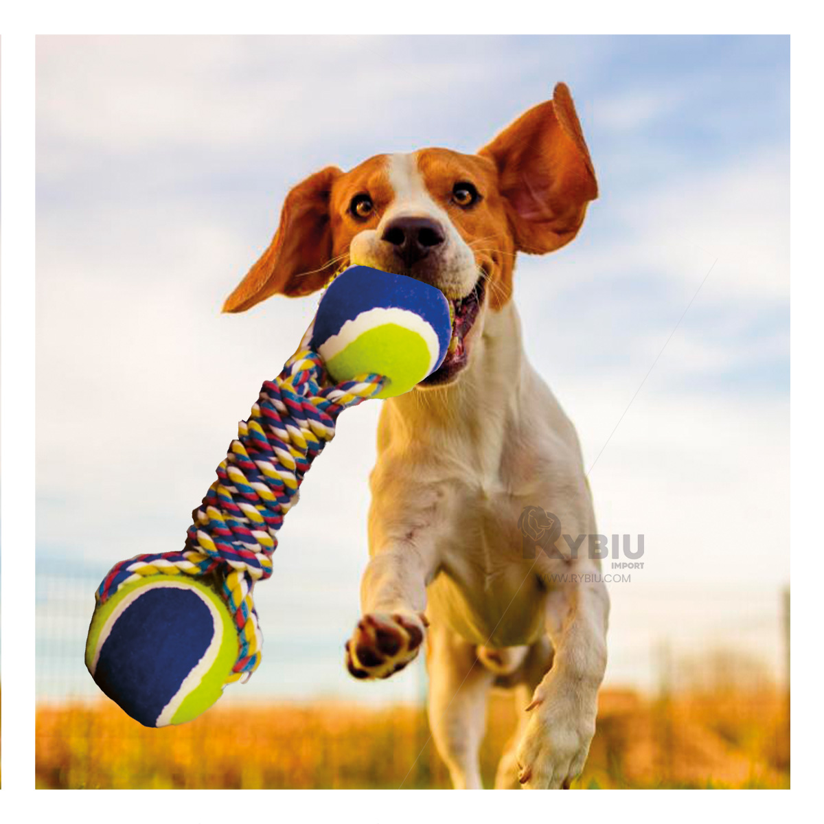 PELOTILLA ALGODÓN PERROS RYBIU CON CUERDA ANTIESTRES EN AZUL + POST-IT ADHESIVOS - 4
