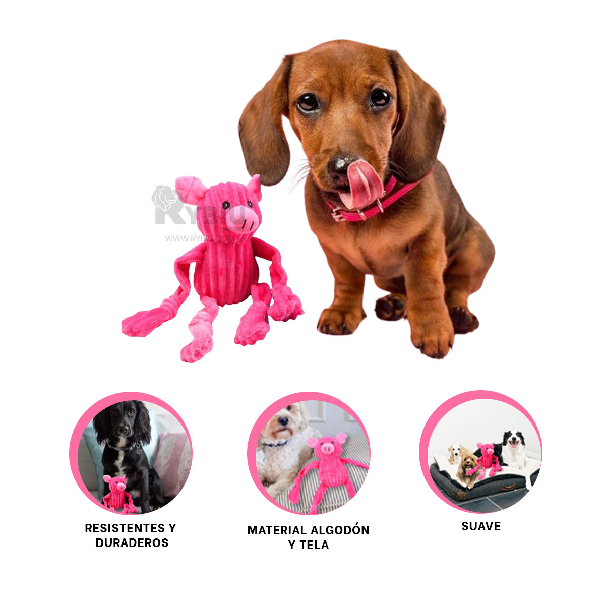 MUÑECO PERROS Y GATOS RYBIU CON DISEÑO CERDO ROSADO + REGALO STICKERS - 2