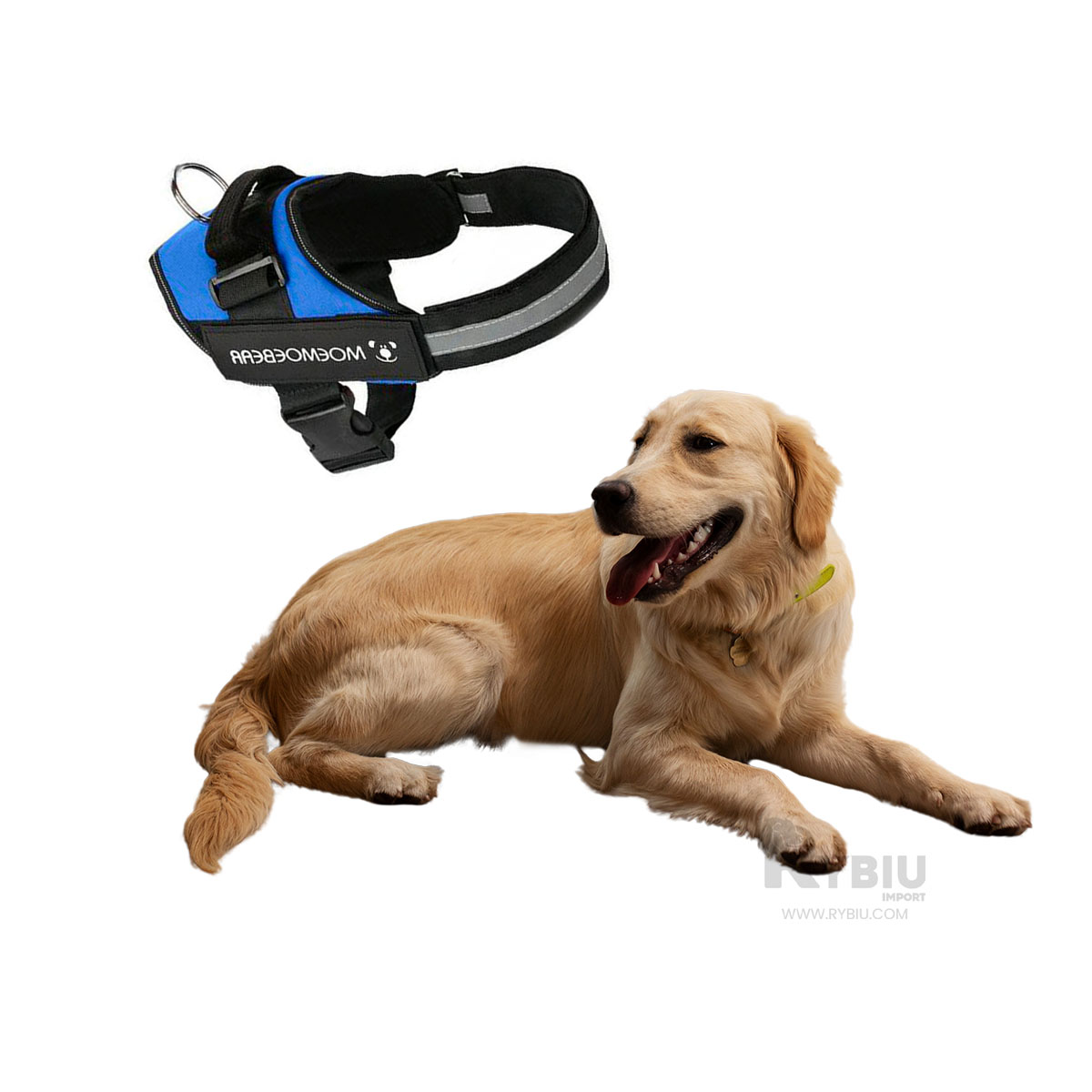 CORREA PERROS MA30958 RYBIU DINAMICA EN TALLA L AZUL + GIFT STICKERS - 1