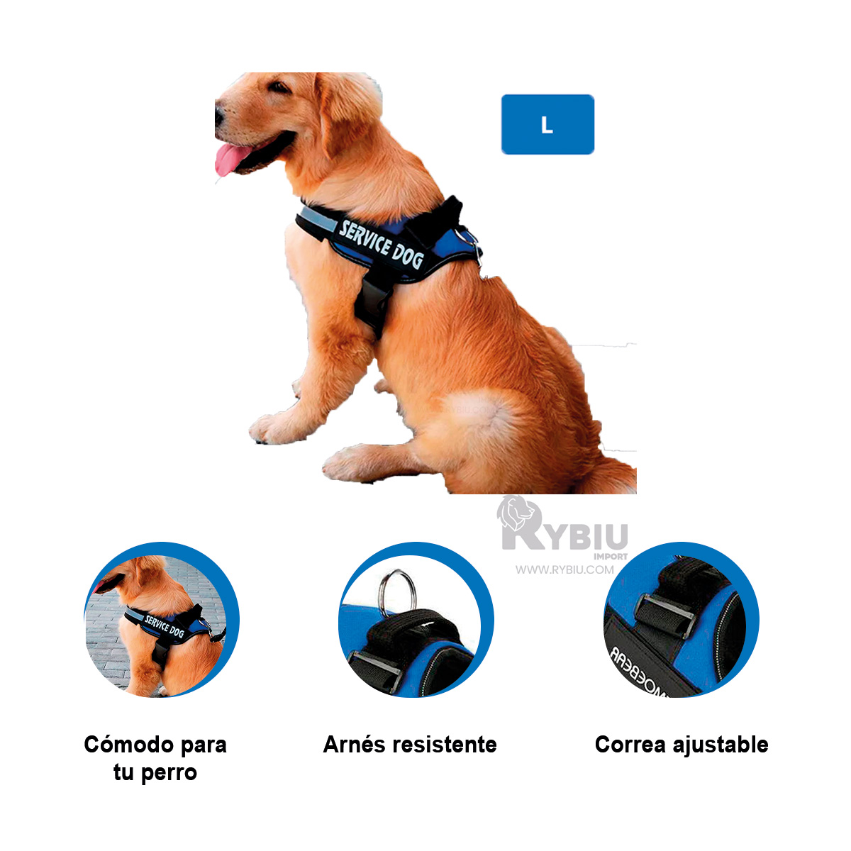 CORREA PERROS MA30958 RYBIU DINAMICA EN TALLA L AZUL + GIFT STICKERS - 2