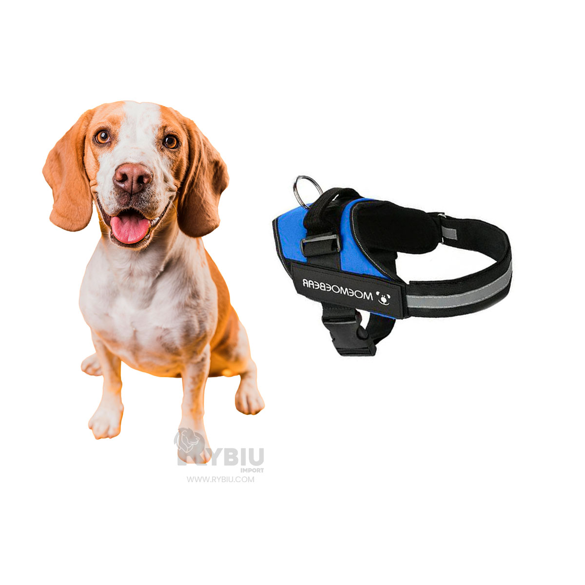 CORREA PERROS MA30958 RYBIU DINAMICA EN TALLA L AZUL + GIFT STICKERS - 3