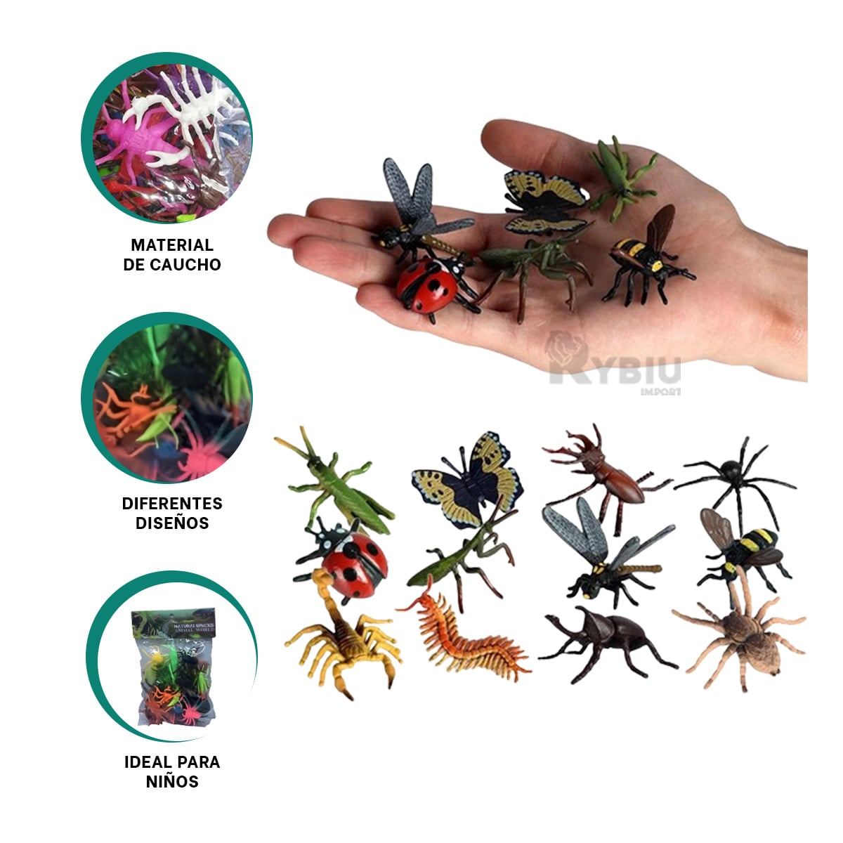 ARTICULO DE INVERTEBRADOS EN VARIOS COLORES Y+GIFT STICKERS - 3