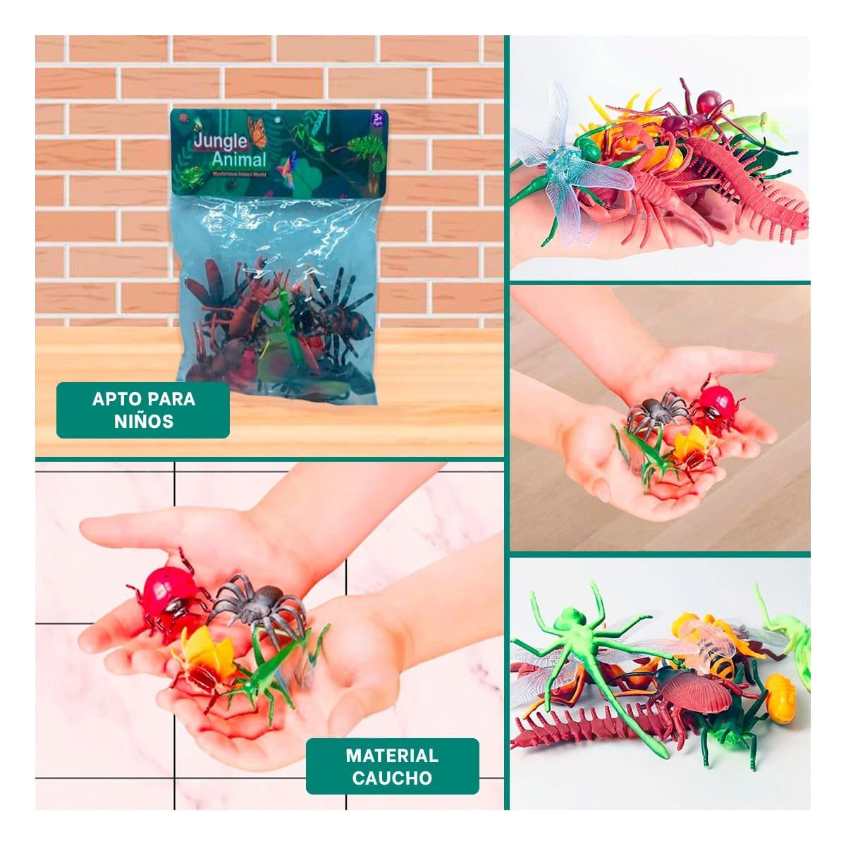 KITS DE INSECTOS COLORIDOS PARA RECREACION EN CASA YSTICKY - 5