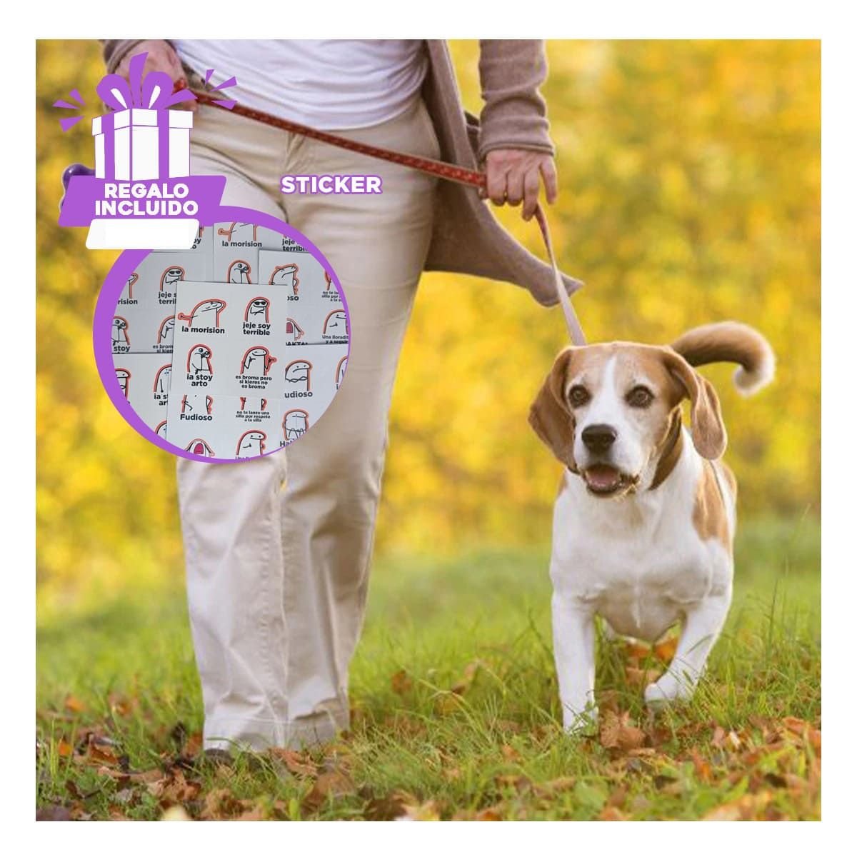 DISPENSADOR DE BOLSAS MORADO PARA PASEOS CON MASCOTA DISENO COMPACTO Y+REGALO STICKER - 1