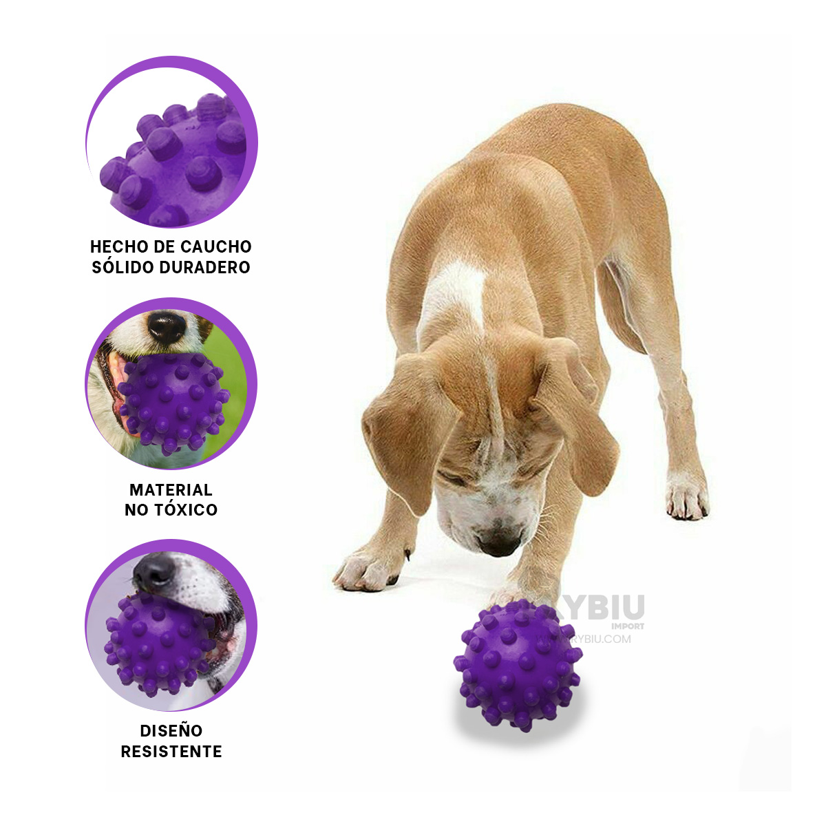 BALON PERROS RYBIU ANTIESTRES MORADO + BANDERITAS ADHESIVAS - 2