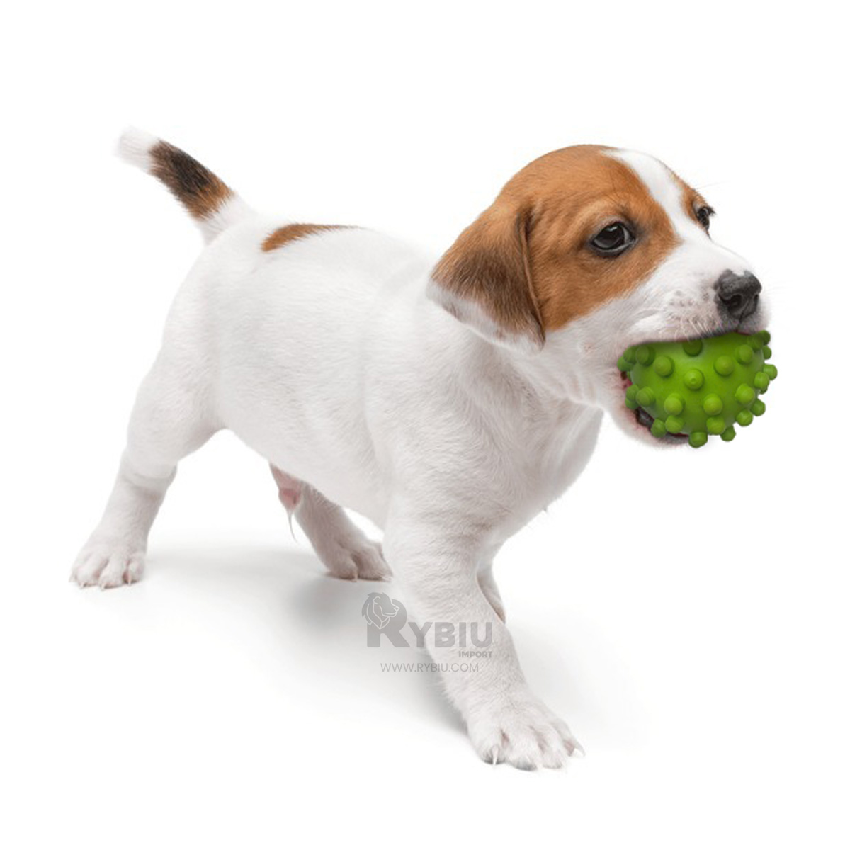 PELOTA PERROS RYBIU SUAVE MORDER VERDE + REGALO AGENDITA - 2