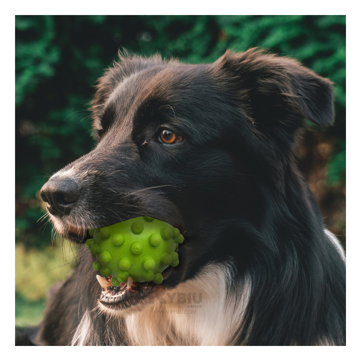 PELOTA PERROS RYBIU SUAVE MORDER VERDE + REGALO AGENDITA - 3