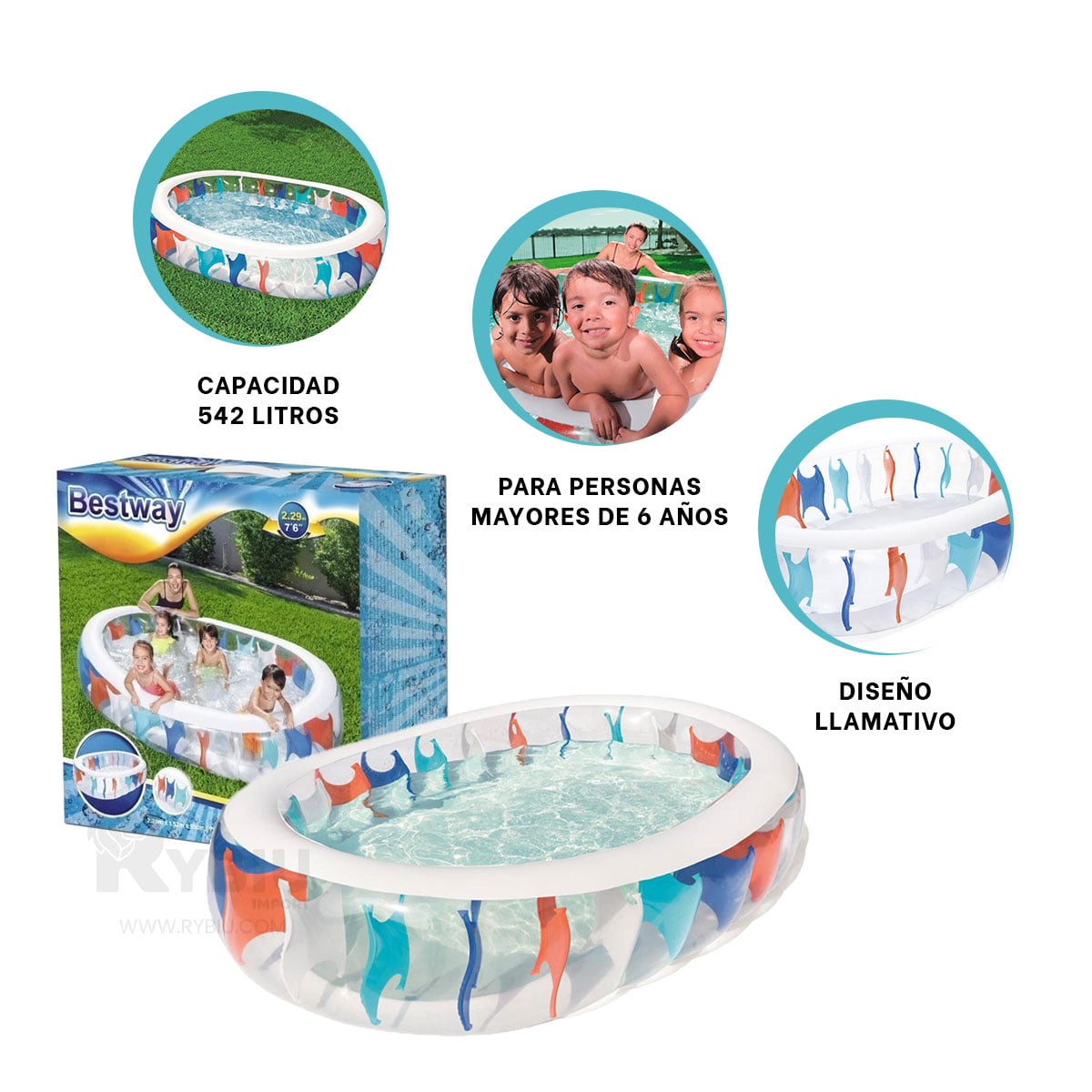 ALBERCA INFLABLE PARA ENTRETENIMIENTO Y+ENVOLTORIO DE REGALO - 3