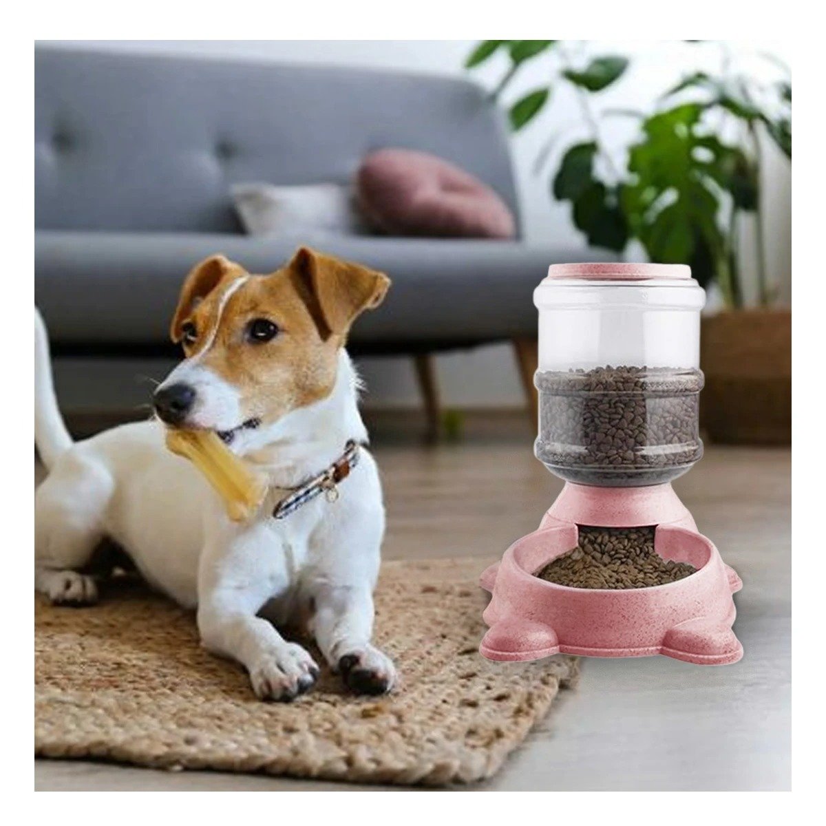 ARTICULO PARA PERRO PLOMO CIRCULAR CON BIDON PLASTICO ROSADO Y+POST IT - 3