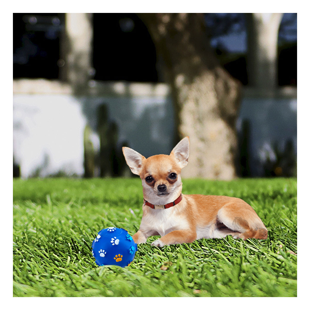 BOLA MASCOTAS RYBIU SUAVE AZUL TALLA L + MINIAGENDA - 2