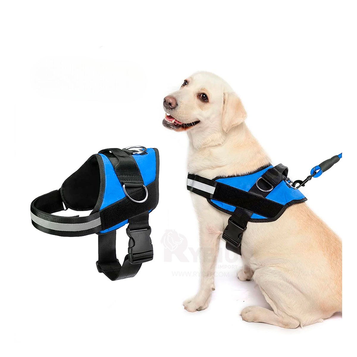 CORREA PERROS MA30978 RYBIU FACIL COLOCAR TALLA XL AZUL + REGALO STICKERS - 3