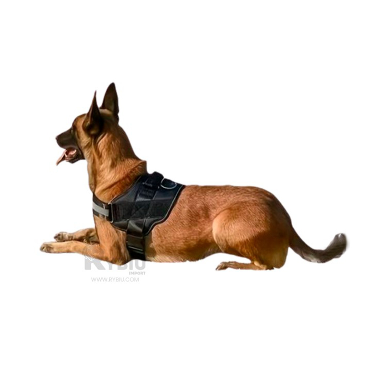 CORREA PERROS MA30980 RYBIU FACIL COLOCAR TALLA XL EN NEGRO + REGALO STICKERS - 3
