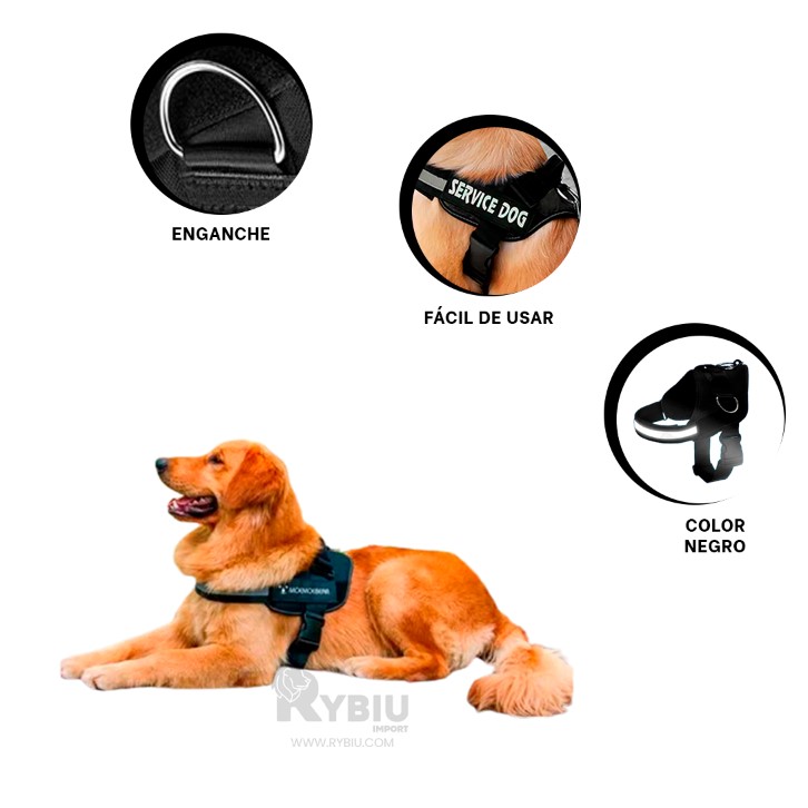 CORREA PERROS MA30980 RYBIU FACIL COLOCAR TALLA XL EN NEGRO + REGALO STICKERS - 4