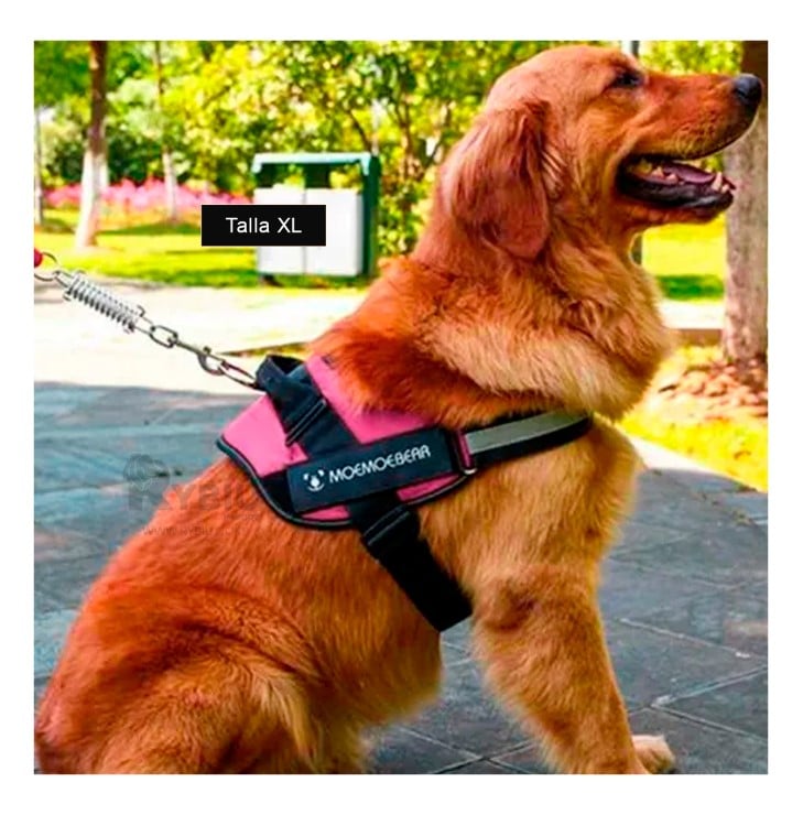 CORREA PERROS MA30981 RYBIU FACIL COLOCAR TALLA XL EN ROSADO + REGALO STICKERS - 1