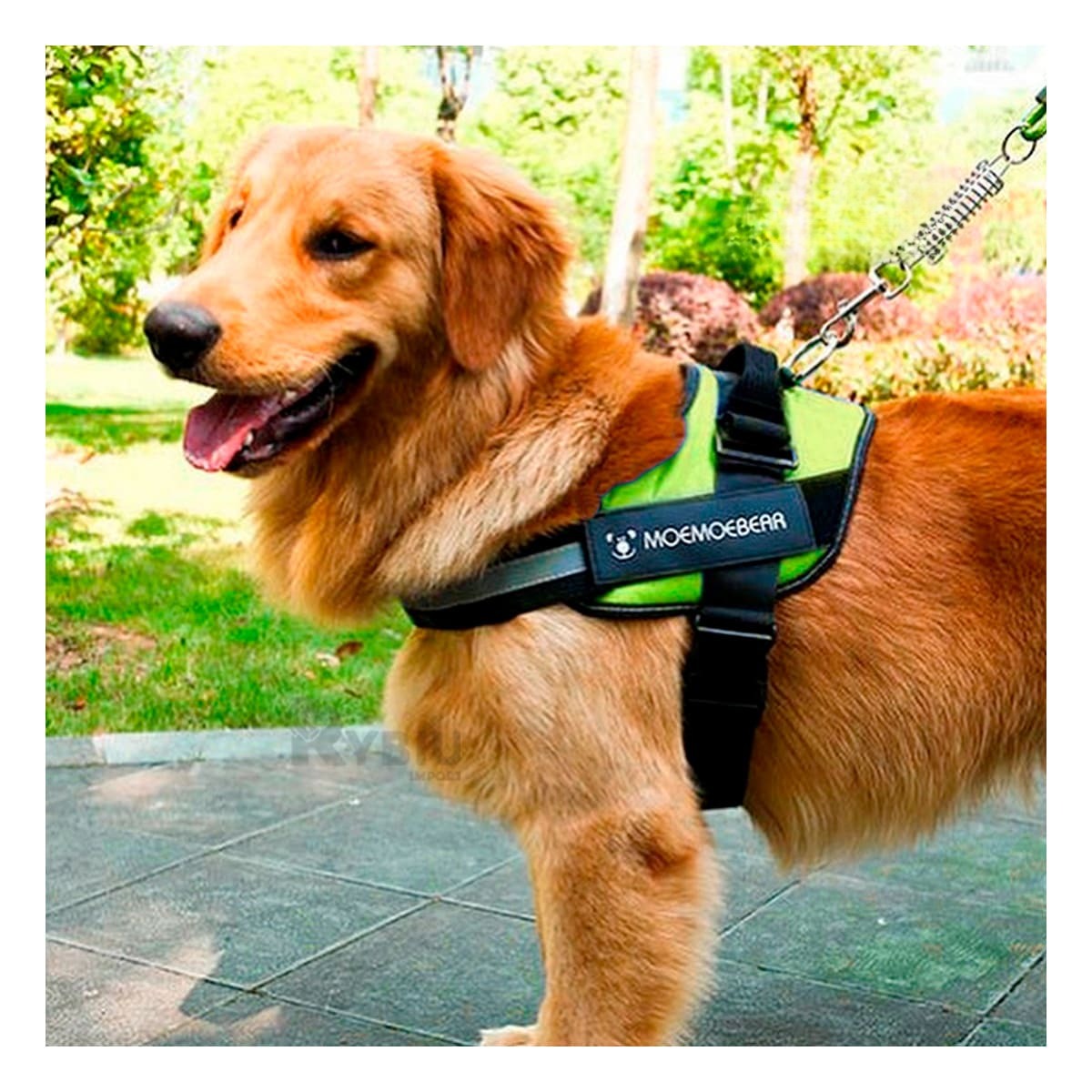 PECHERA PERROS MA30982 RYBIU CONFORTANTE VERDE XL + PAPEL REGALO - 2