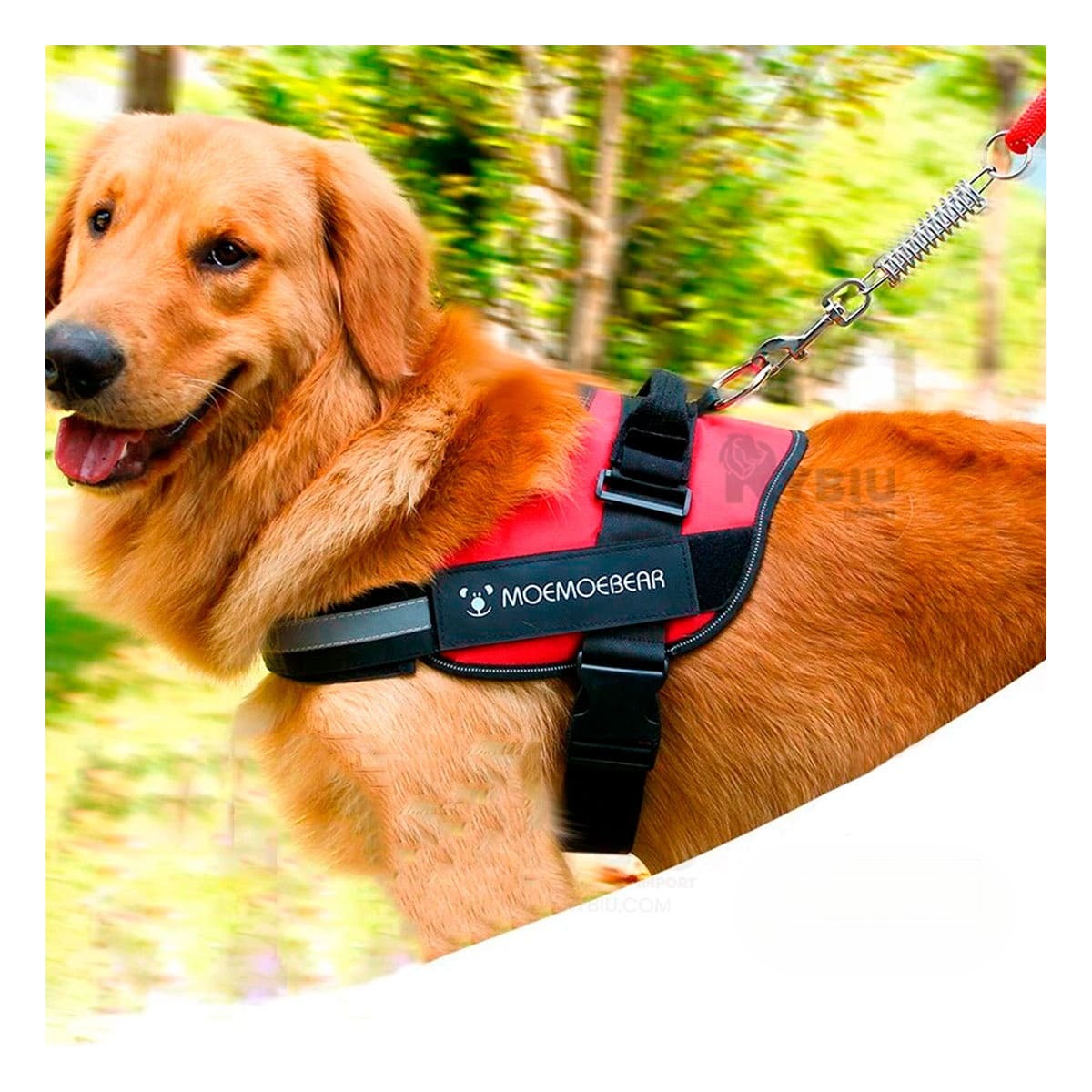 CORREA PERROS MA30983 RYBIU RESISTENTE ROJO XL + GIFT MINIAGENDA - 3