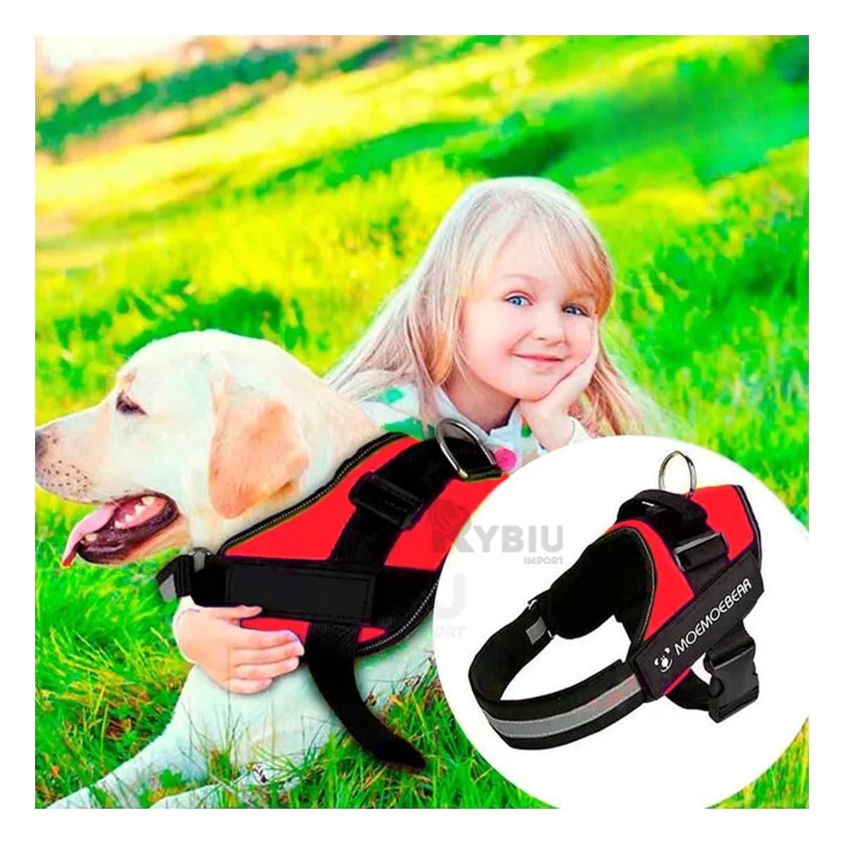 CORREA PERROS MA30983 RYBIU RESISTENTE ROJO XL + GIFT MINIAGENDA - 4