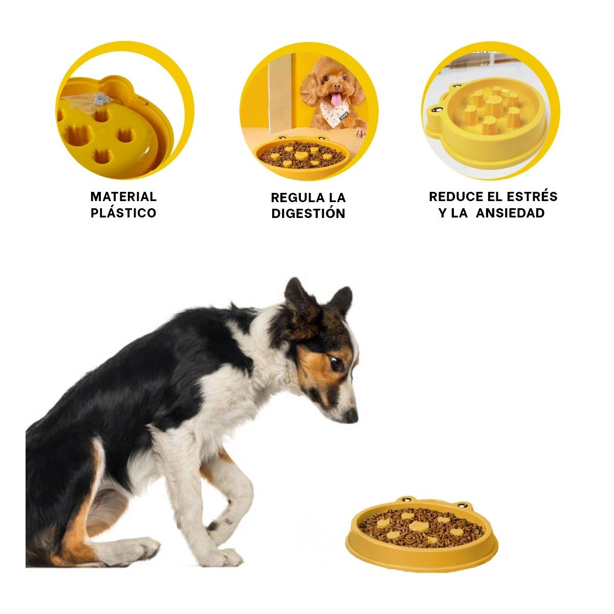 TAZON PET ANTIESTRES TIPO RANA AMARILLO LIGERO Y PRACTICO - 3