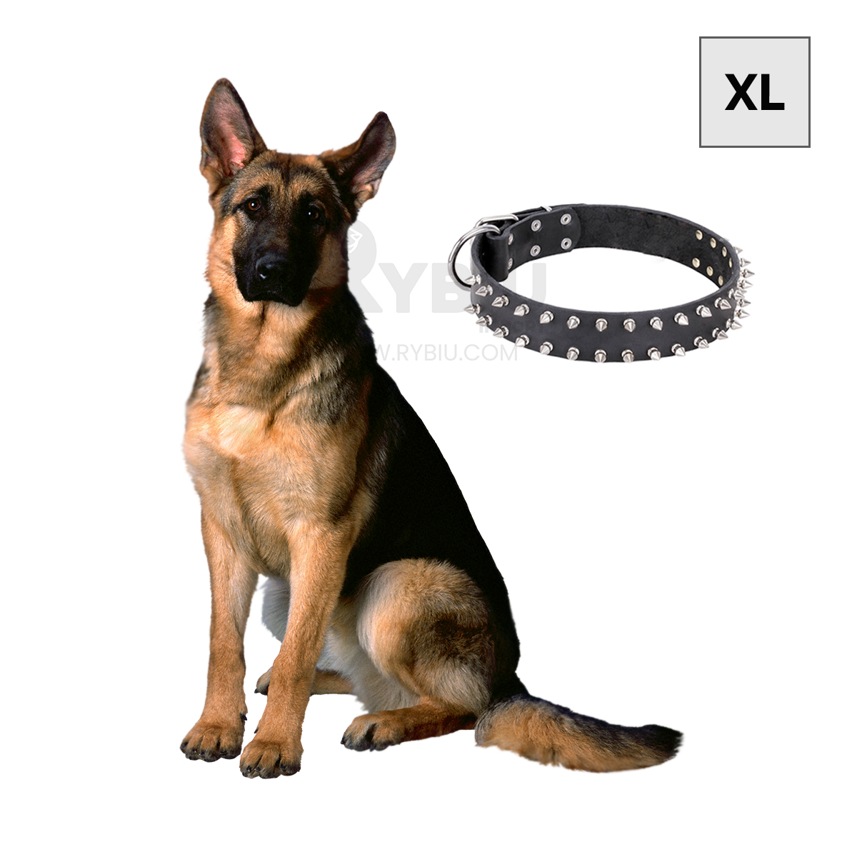 CADENA PERROS MA31059 RYBIU FACIL PET NEGRO TALLA XL + REGALO LIGAS PEINAR - 2
