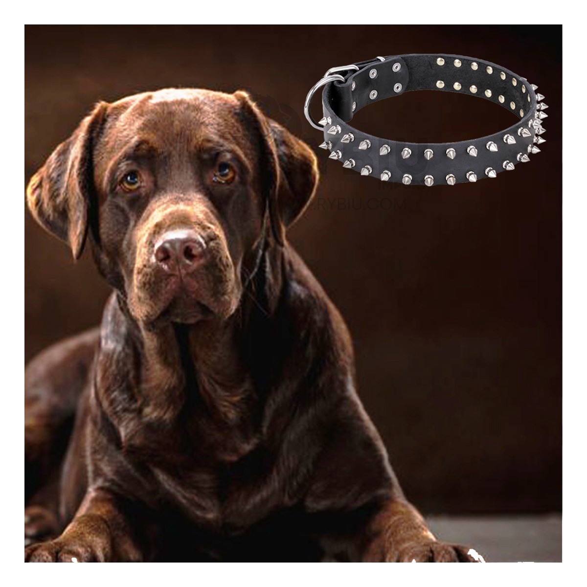 CADENA PERROS MA31059 RYBIU FACIL PET NEGRO TALLA XL + REGALO LIGAS PEINAR - 4