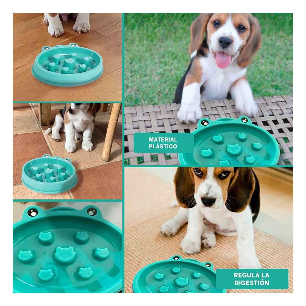 TAZON PERRO RYBIU EVITAR ESTRES VERDE + POST-IT ADHESIVOS - 1