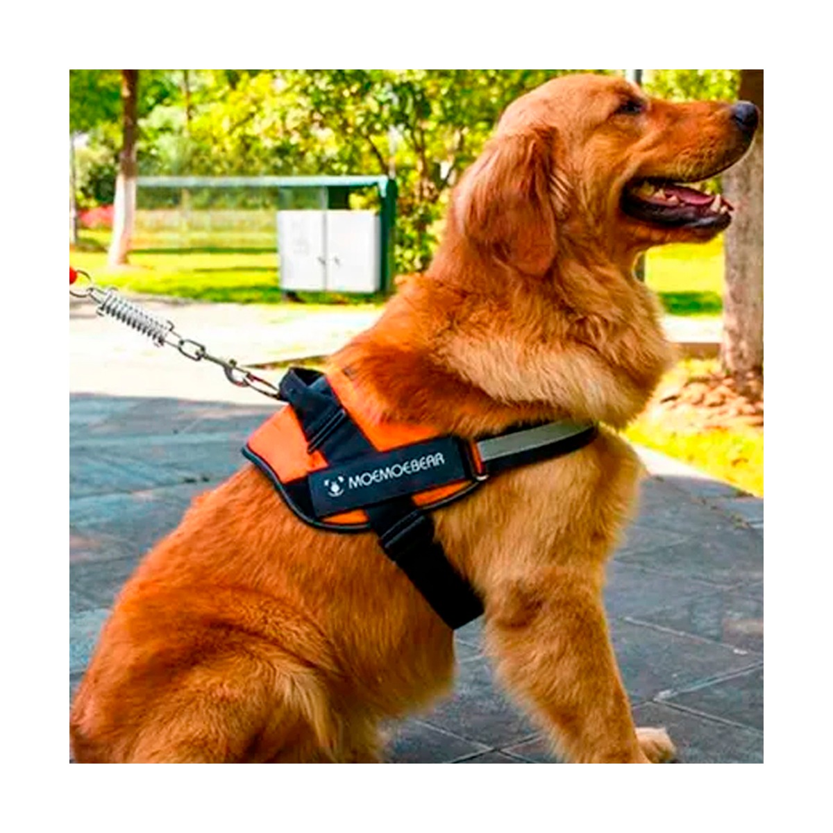ARNÉS PERROS MA30986 RYBIU SEGURIDAD EN ANARANJADO XXL + REGALO AGENDITA - 3