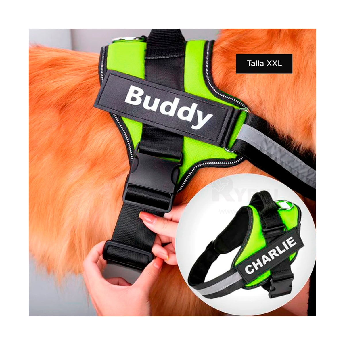 ARNÉS PERROS MA30989 RYBIU COMODO CON HEBILLA D EN VERDE XXL + GIFT STICKERS - 2