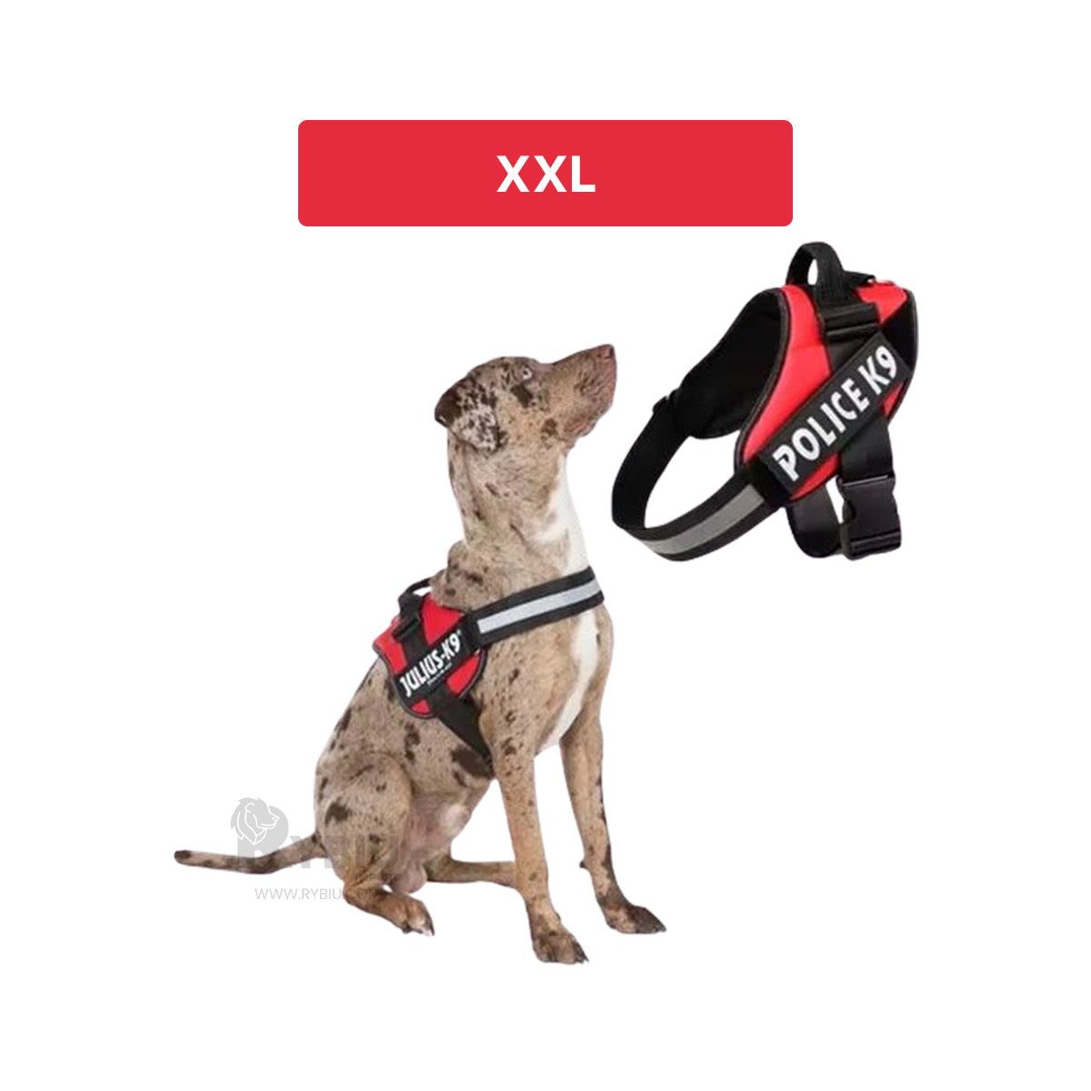 ARNÉS PERROS MA30990 RYBIU PET COMODO Y AJUSTABLE XXL EN ROJO + GIFT MINIAGENDA - 5