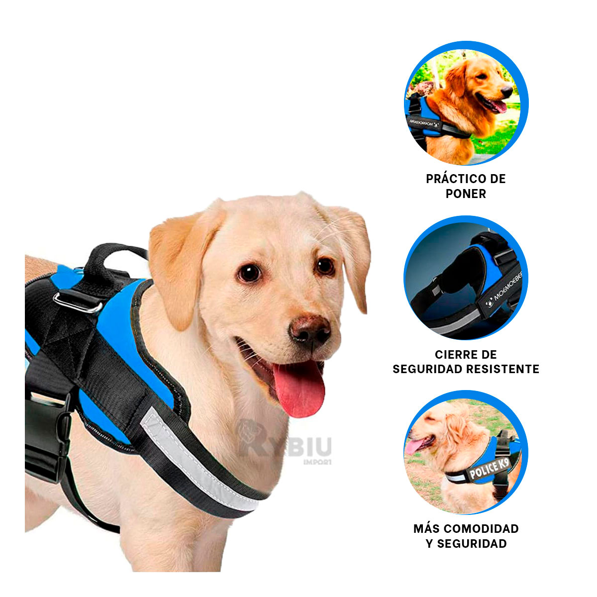 CORREA PERROS MA30985 RYBIU PRACTICA AZUL XXL + GIFT STICKERS - 3