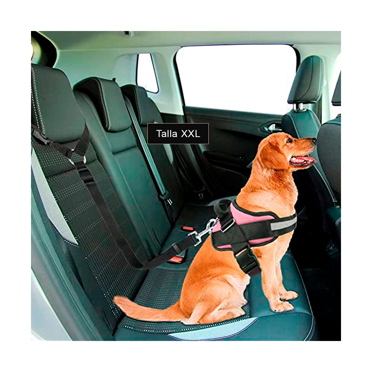 ARNÉS PERROS MA30988 RYBIU LABRADOR XXL ROSADO + ENVOLTORIO REGALO - 2