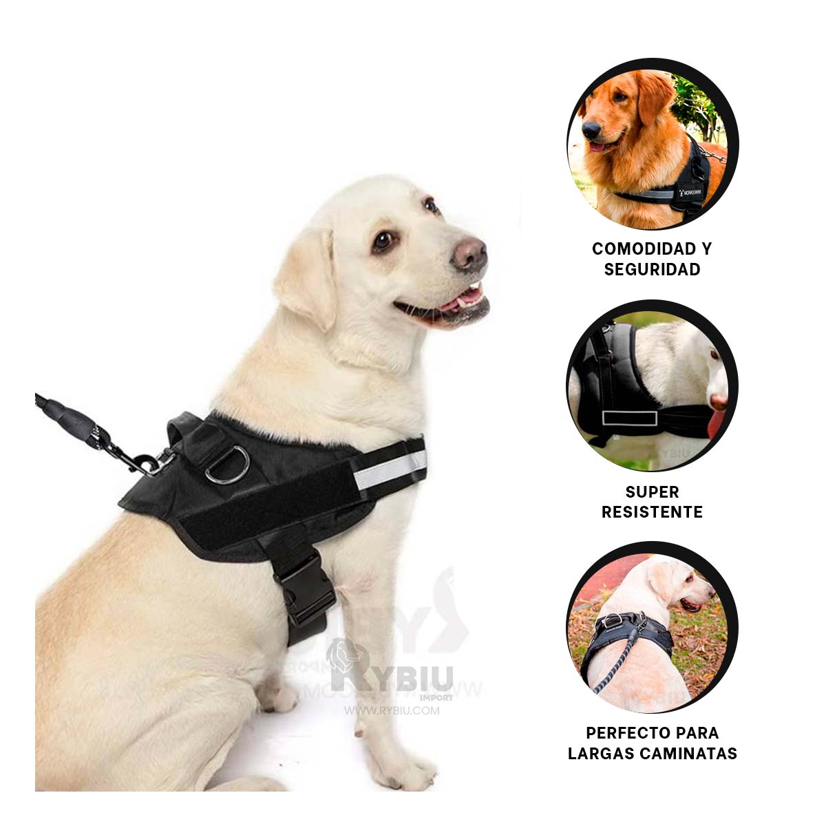 ARNÉS PERROS MA30987 RYBIU LABRADOR EN NEGRO XXL + ENVOLTORIO REGALO - 3