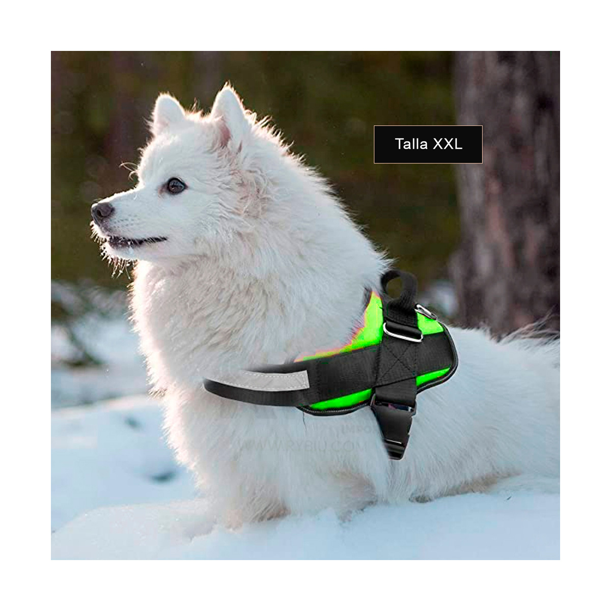 ARNÉS PERROS MA30989 RYBIU PET AJUSTABLE LIGERO EN VERDE XXL + GIFT MINIAGENDA - 1