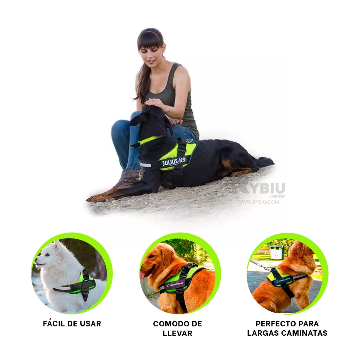 CORREA PERROS MA30989 RYBIU IDEAL EN VERDE XXL + BANDERITAS ADHESIVAS - 4