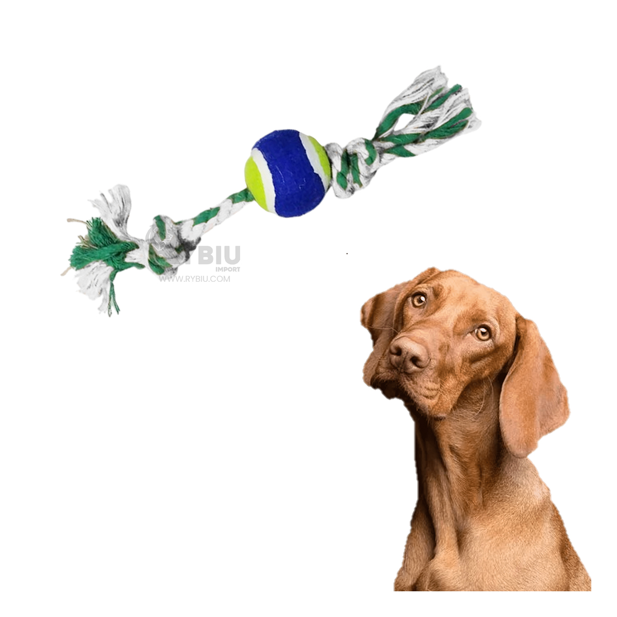 JUGUETE ALGODÓN PERROS MA29965 INTERACTIVO MULTICOLOR + MINIAGENDA RYBIU - 1