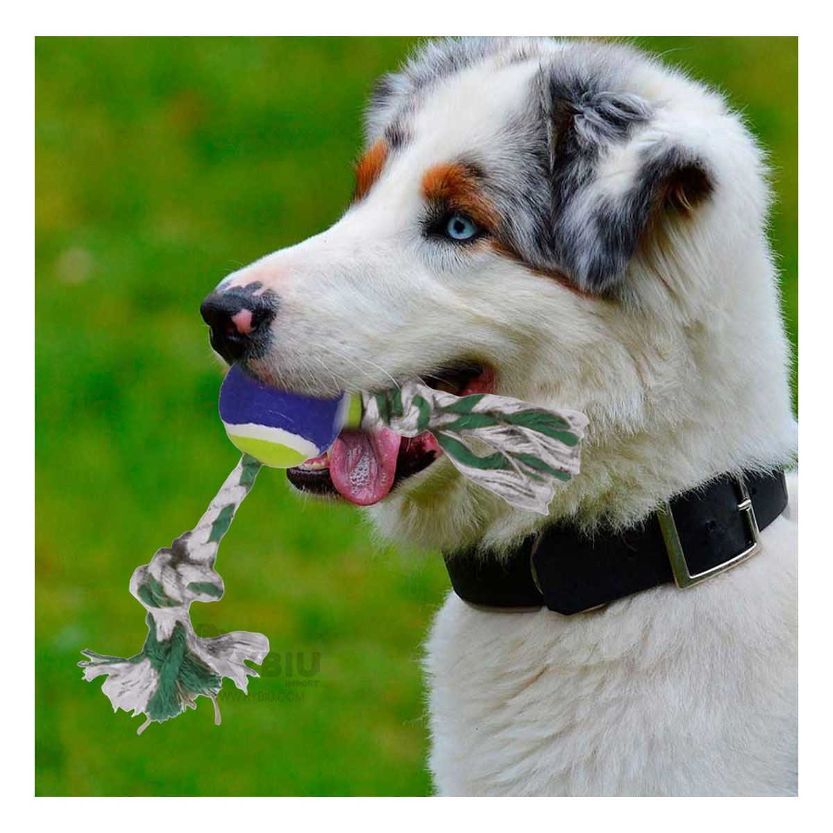 JUGUETE ALGODÓN PERROS MA29965 INTERACTIVO MULTICOLOR + MINIAGENDA RYBIU - 2