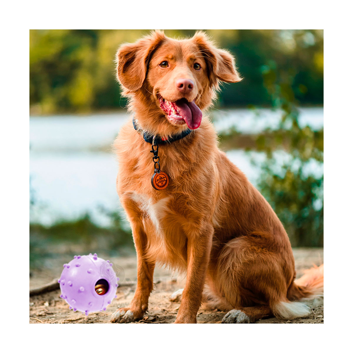 JUGUETE CAUCHO PERROS MA31252 FLEXIBLE MORADO + REGALO STICKERS RYBIU - 2