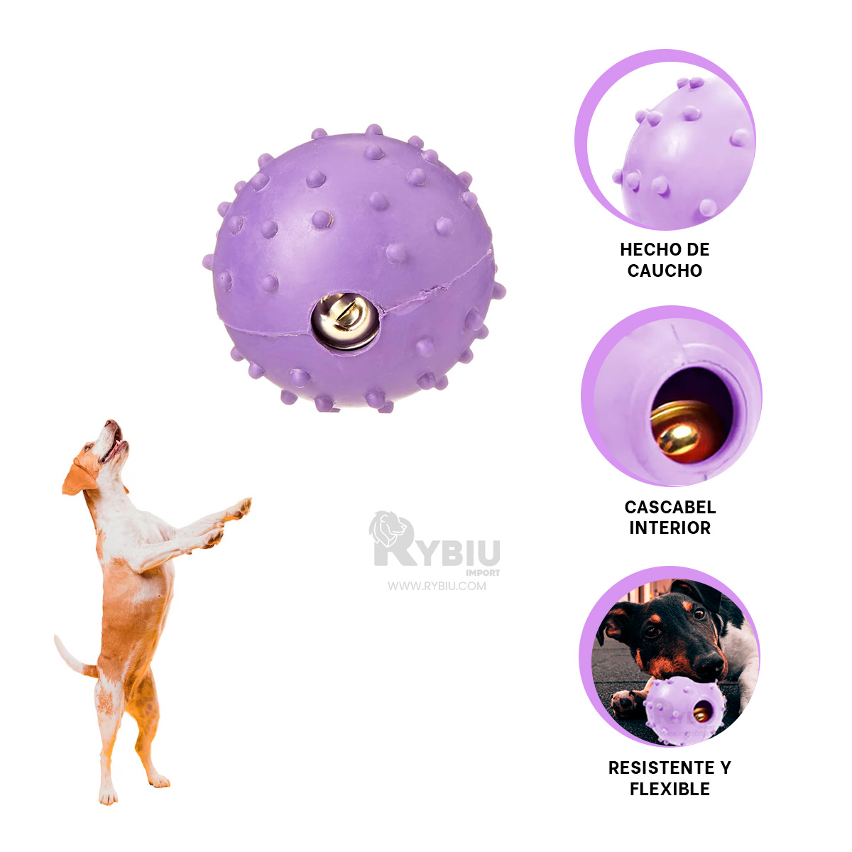 JUGUETE CAUCHO PERROS MA31252 FLEXIBLE MORADO + REGALO STICKERS RYBIU - 3