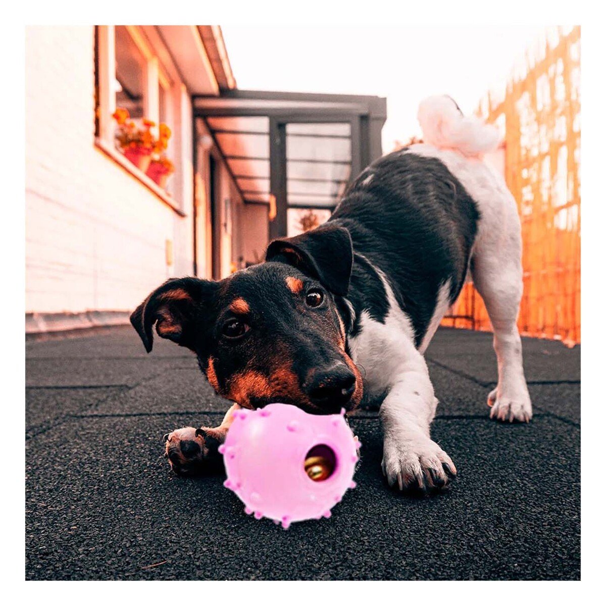 JUGUETE CAUCHO PERRO MA31253 DURADERO ROSADO + LIGAS REGALO RYBIU - 2