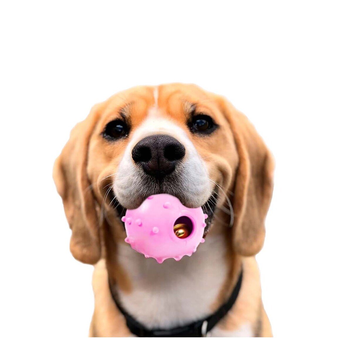 JUGUETE CAUCHO PERRO MA31253 DURADERO ROSADO + LIGAS REGALO RYBIU - 3