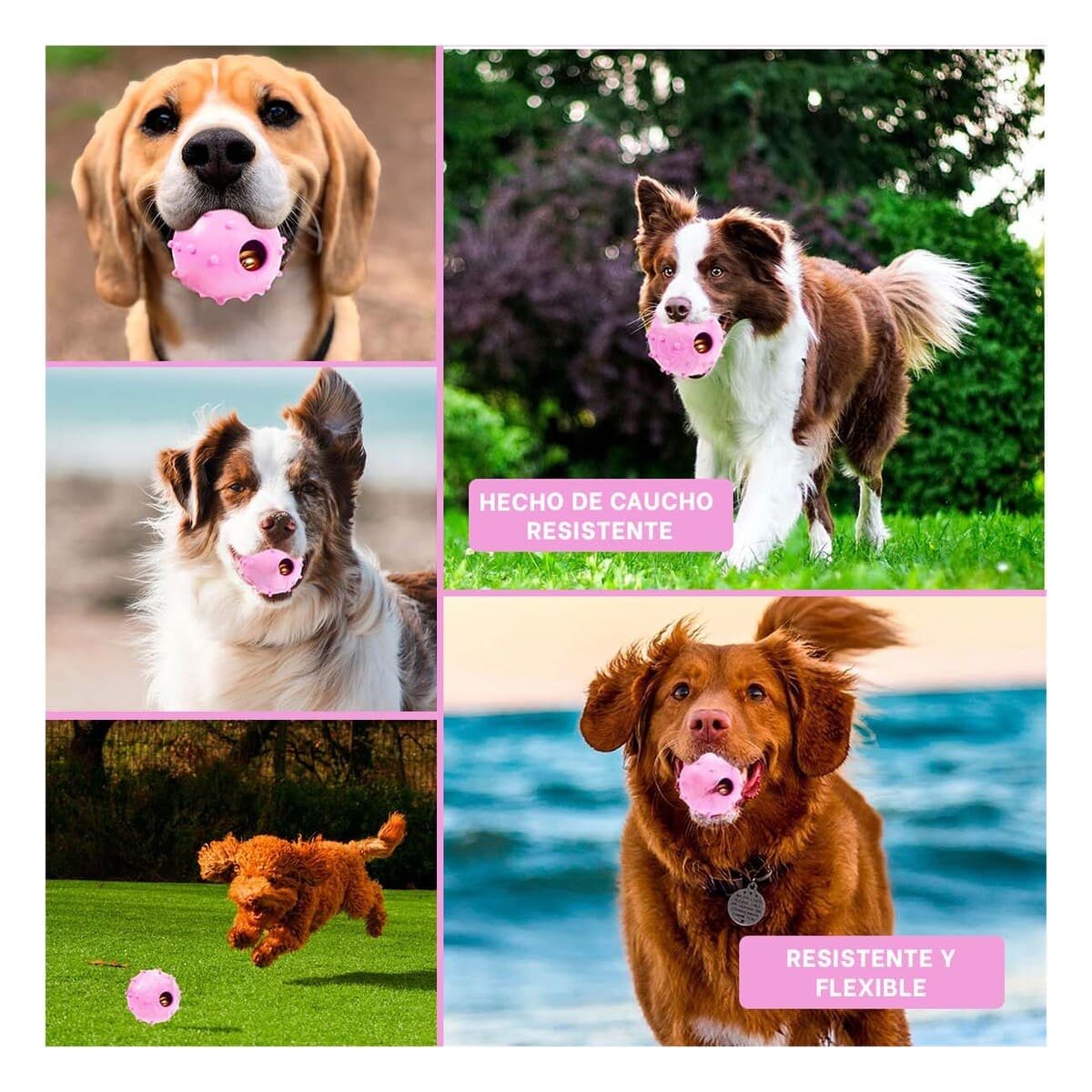 JUGUETE CAUCHO PERRO MA31253 DURADERO ROSADO + LIGAS REGALO RYBIU - 5