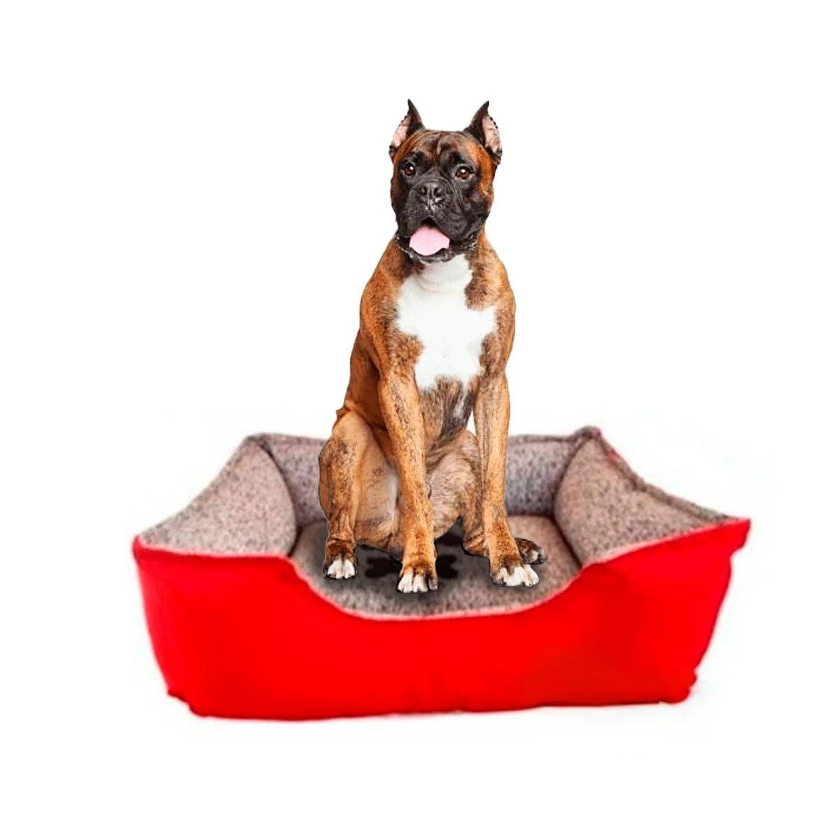 CAMA PERROS MA31050 DINAMICO XXL ROJO RYBIU + LIGAS REGALO - 3