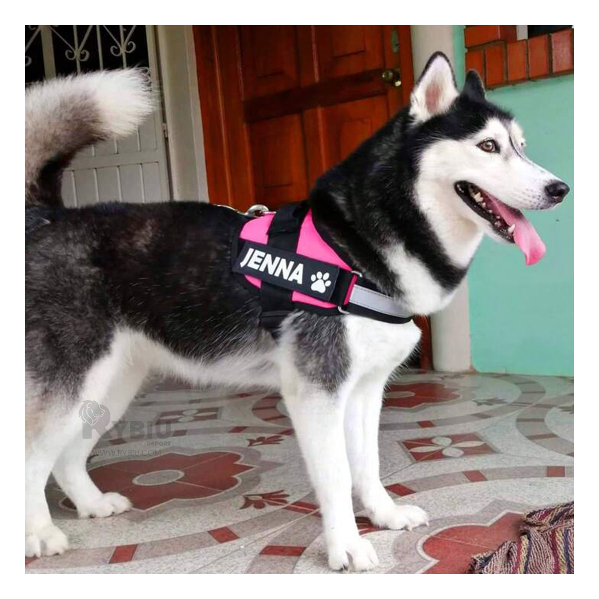 ARNÉS PERROS MA30975 RYBIU CANINA ROSADO + REGALO LIGAS PEINAR - 2