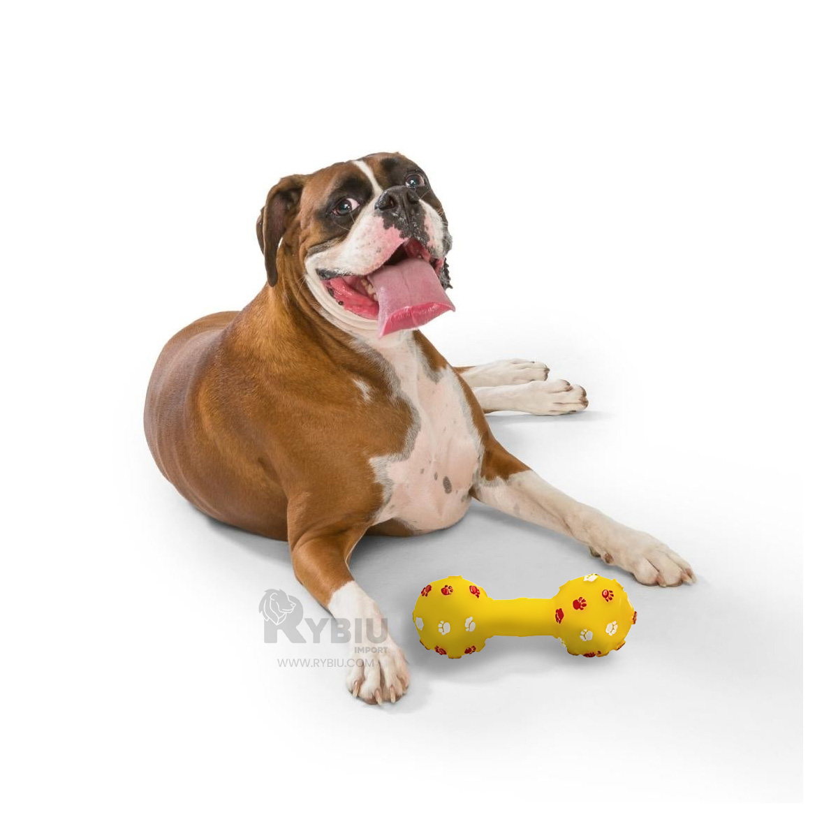 MASTICABLE PERROS MA31134 ELEGANTE AMARILLO + REGALO STICKERS RYBIU - 3