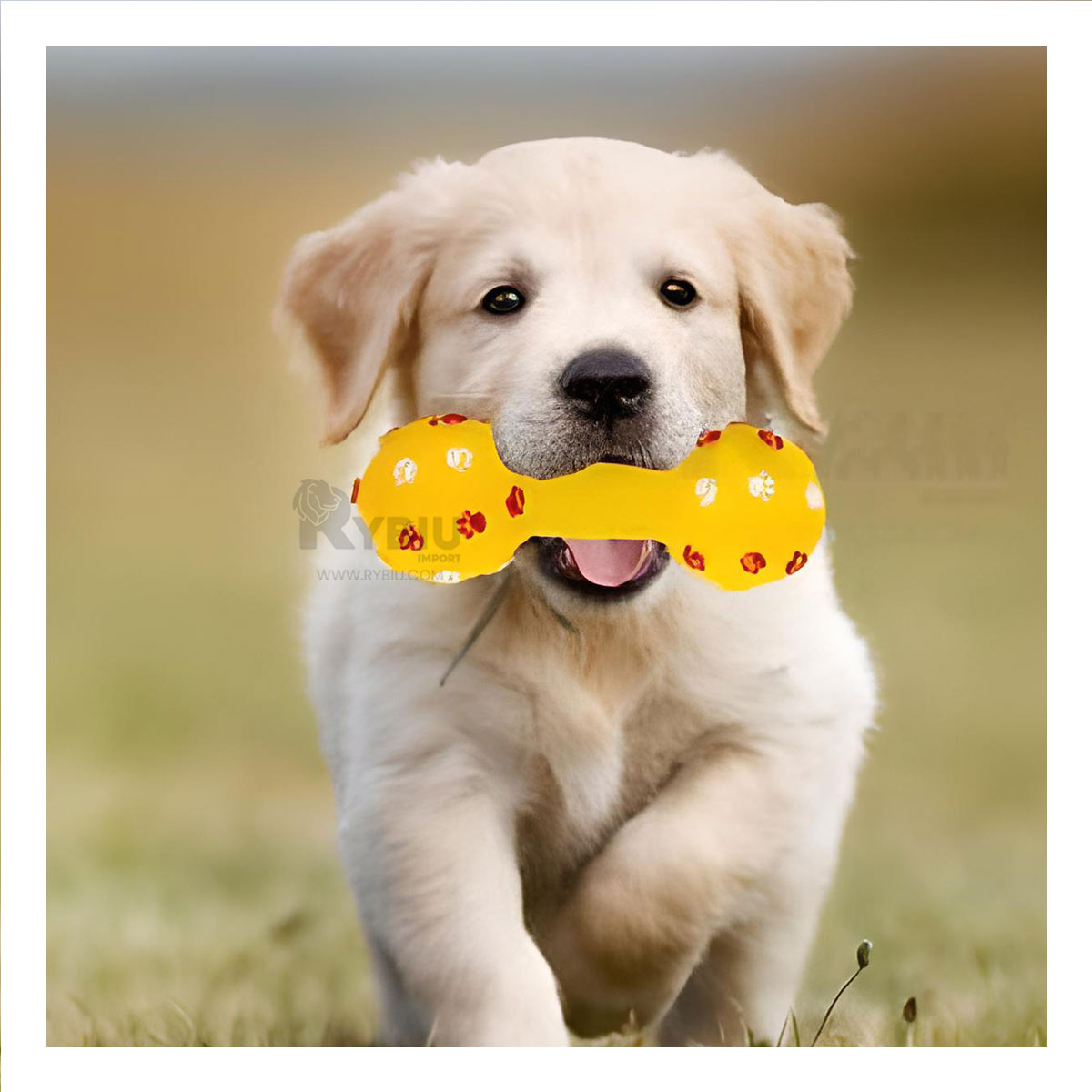 MASTICABLE PERROS MA31134 ELEGANTE AMARILLO + REGALO STICKERS RYBIU - 4