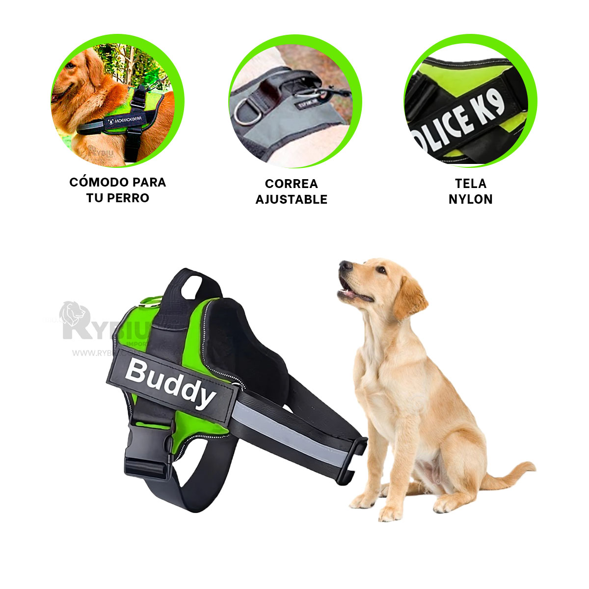 CORREA PERROS MA30969 RYBIU PROTECCION ANIMAL VER + REGALO AGENDITA - 2